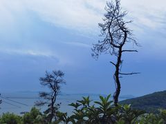 -宝界山林公园