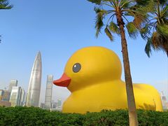 -深圳人才公园