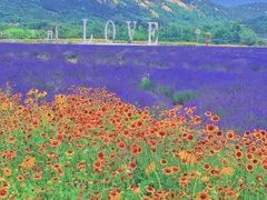 -西海岸生态观光园