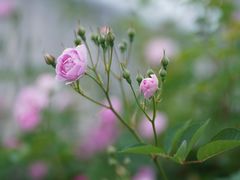 -南京国际青年文化中心