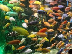 -太平洋海底世界