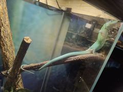 -正佳雨林生态植物园