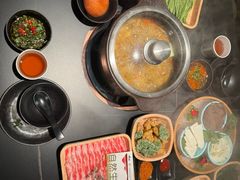 -季季山•云南野生菌火锅(上海首店)