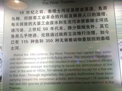 -苏州河梦清园环保主题公园