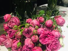 -Flower in(密渡桥店)