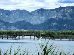 -野鸭湖国家湿地公园