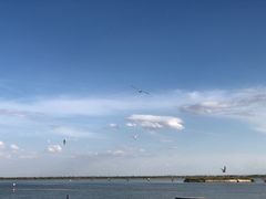 -包头南海湿地景区