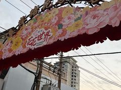 -溪岸路花鸟市场