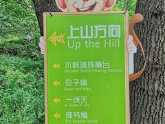 -大岭沟猕猴桃谷风景区