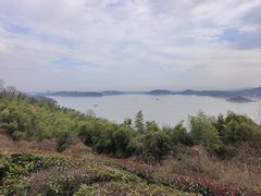 -天目湖涵田半山温泉