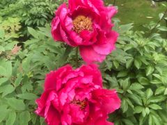 -狼山风景名胜区