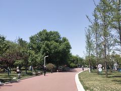 -灞河西岸滨河公园