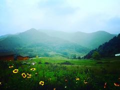-照金红色旅游名镇
