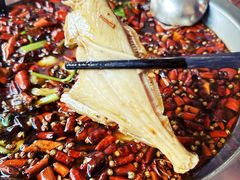 -耗儿鱼蛙蛙叫·老成都火锅(蛇口海昌街店)