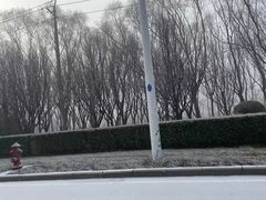 -粥旺府(月环里店)