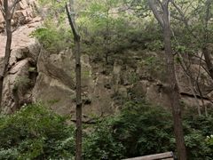 -大岭沟猕猴桃谷风景区