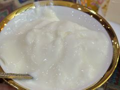 原味酸奶-古树酸奶(八廓南街店)