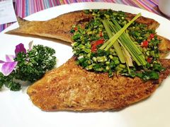 丽江纳西烤鱼-香巴拉云南餐厅(华莱坞店)