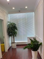 -武汉五洲整形外科医院