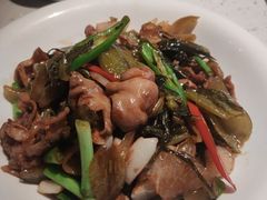 -江渔儿酸菜鱼(奥园广场金发购物中心店)