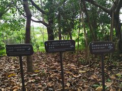 -华侨城湿地公园