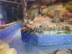 -正佳雨林生态植物园