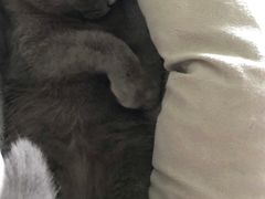 -牛八味面馆