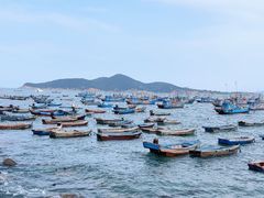 -海源公园