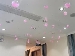-苗医生草本科技祛痘