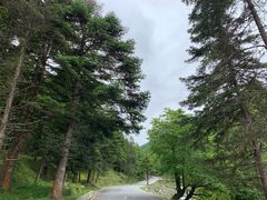 -硗碛藏寨·神木垒景区