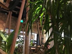 -大头椰·椰子鸡火锅(南宁万象城店)