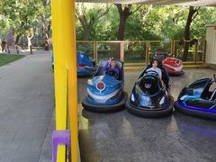 -朝阳公园游乐园