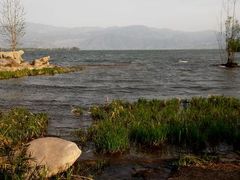 android_upload_pic-西昌邛海湿地