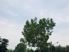 -钟山体育运动公园