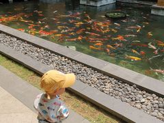 -三亚湾海居铂尔曼度假酒店