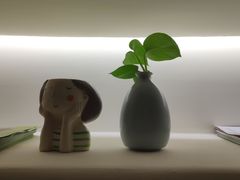 -安肯心理咨询(长宁旗舰店)