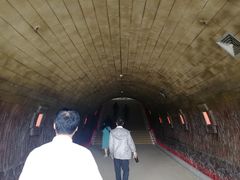 -龙泉青瓷博物馆