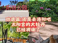-太阳宫公园