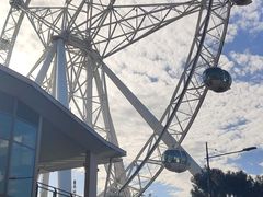 -墨尔本之星 观景摩天轮