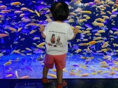 -成都浩海立方海洋公园