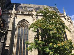 -斯蒂芬主教座堂(Stephansdom)