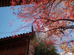 -美味之家·湖景农家乐(太湖东山店)