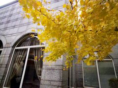 -上海虹桥迎宾馆