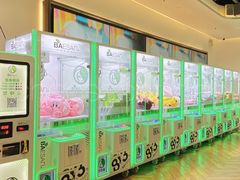 -813芭依珊 BAESAn(汇港购物中心店)