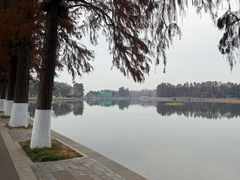 -东湖落雁景区
