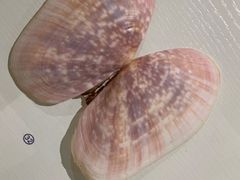 -青岛贝壳博物馆