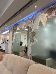 -上海首尔丽格医疗美容医院