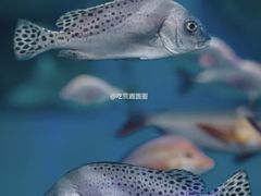 -泉城欧乐堡海洋极地世界