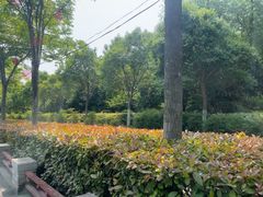 -定鼎门遗址博物馆