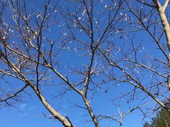 -天台山琼台仙谷景区